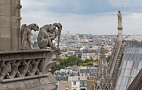 欧洲,法国,巴黎,三个,滴水兽,圣母大教堂