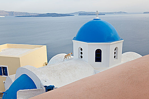 俯拍,传统,刷白,教堂,鲜明,蓝色,圆顶,岛屿,锡拉岛,希腊