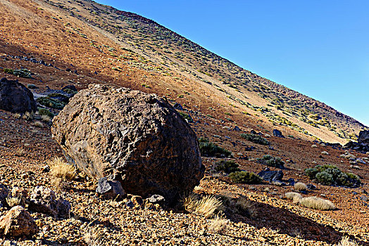 火山岩,球,泰德国家公园,公园,特内里费岛,加纳利群岛,西班牙,欧洲