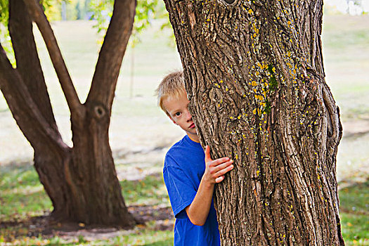 男孩,隐藏,后面,公园,艾伯塔省,加拿大
