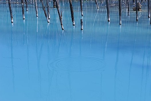 蓝色,水塘