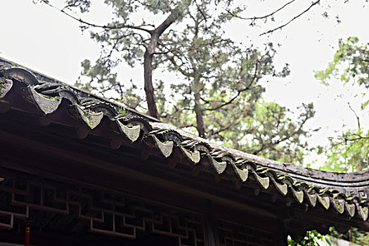 传统建筑的屋檐,特写