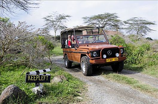 游客,四轮驱动,交通工具,旅游,住宿,农场,克鲁格国家公园,阿鲁沙,国家公园,坦桑尼亚,非洲
