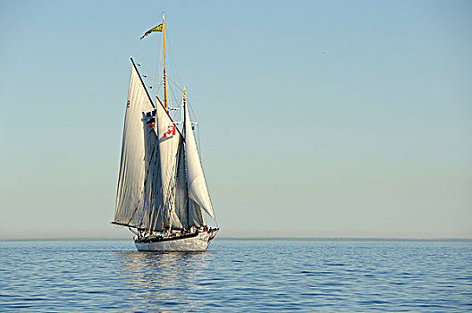 纵帆船,黄道十二宫,维多利亚,温哥华岛,不列颠哥伦比亚省,加拿大