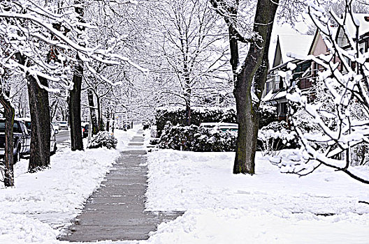 人行道,街道,冬天,景色,多伦多,安大略省,加拿大