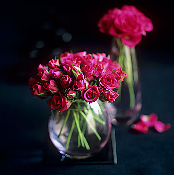 红玫瑰,花瓶