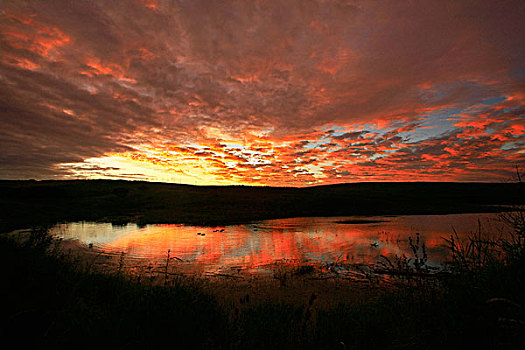 日落,坝,南非,2008年