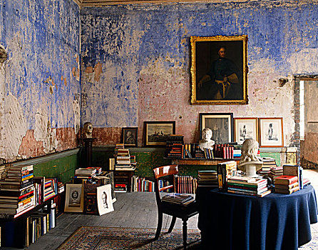 墙壁,荒废,时髦,图书馆,乔治时期风格,连栋别墅,都柏林,揭示,蓝色,房间,涂绘