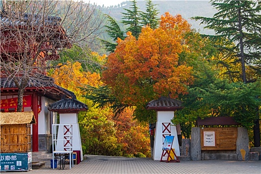 航拍济南红叶谷景区