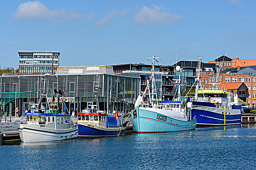 港口,渔船,北方,日德兰半岛,丹麦