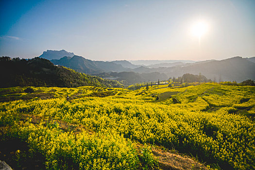 重庆酉阳,三月花海千氹田