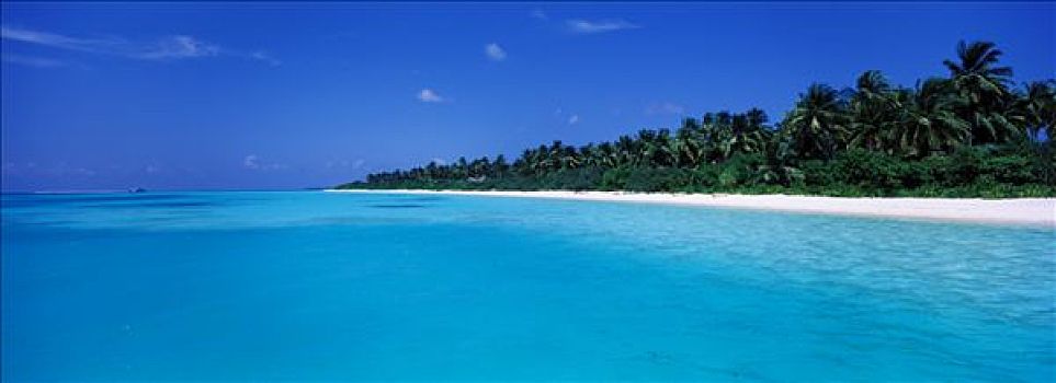 马尔代夫,环礁,漂亮,海滩