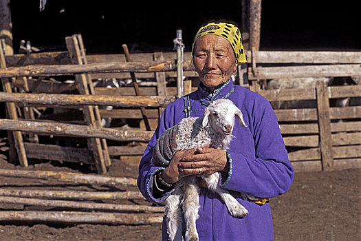 蒙古,靠近,乌兰巴托,蒙古人,草地,冬天,草原,女人,3天大,羊羔