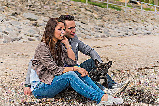 情侣,法国牛头犬,坐,海滩,梅克伦堡前波莫瑞州,德国,欧洲