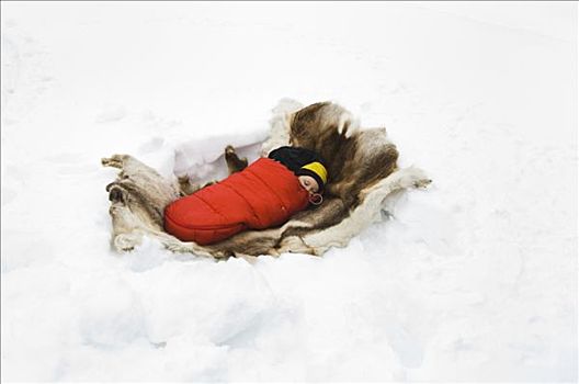 睡觉,雪地,瑞典