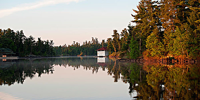 反射,树,湖,木头,安大略省,加拿大