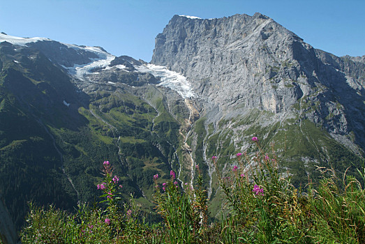 山,冰河,上方,阿尔卑斯山