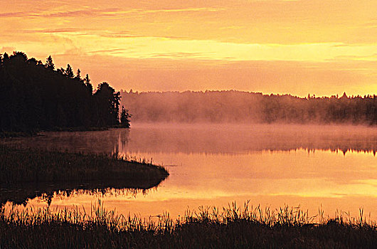 日出,北方,湖,靠近,苏人,安大略省,加拿大