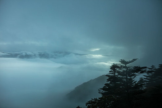 神农架,神农顶,风景,景点,旅游,高山,瀑布,河流,神秘,树木,植被,石头,鄂西,云海,峡谷,壮观