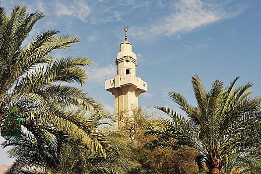 尖塔,棕榈树,约旦,亚洲