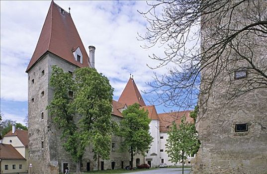 城堡,多瑙河,下奥地利州,奥地利