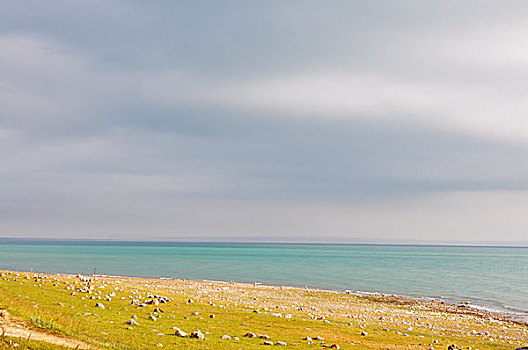 青海湖