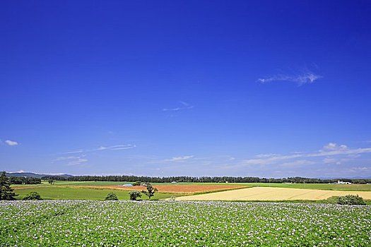 彩色,乡村地区