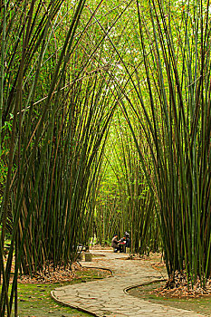 贵州植物园