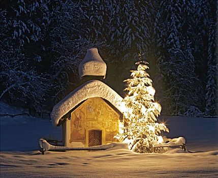 小教堂,靠近,黃昏,圣诞树,上巴伐利亚,巴伐利亚,德国