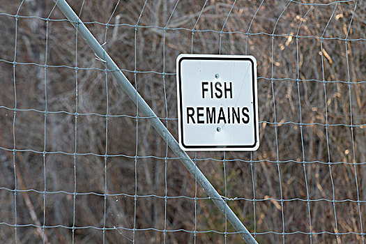 标牌,鱼,残留,赫克拉火山磨石省立公园,曼尼托巴,加拿大