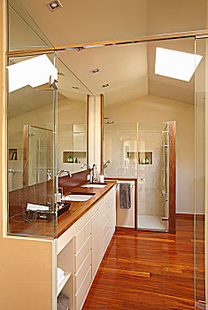 设计师,浴室,合适,盥洗盆,白色,玻璃,淋浴,小间,仰视,天窗
