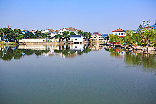 后塘河,保洁,水草