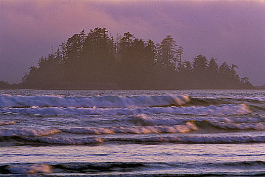 波浪,海洋,长滩,环太平洋国家公园,自然保护区,温哥华岛,不列颠哥伦比亚省,加拿大