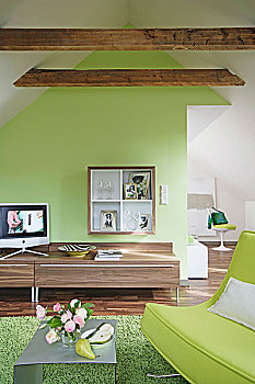 房间,绿色,沙发,桌子,餐具柜,电视,倾斜,天花板,屋顶,光线