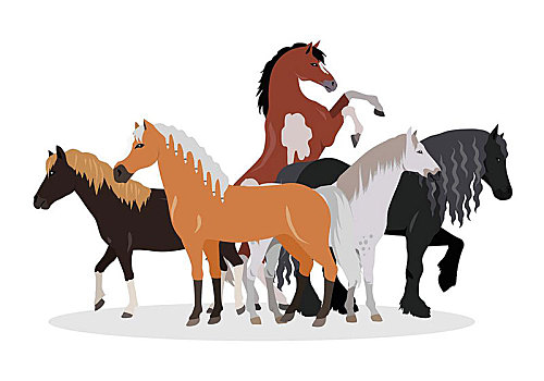 马,概念,风格,矢量,网络,旗帜,多,不同,品种,彩色,尺寸,站立,骑马,降落,设计