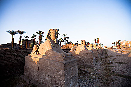 狮身人面像,卢克索神庙,路克索神庙,埃及