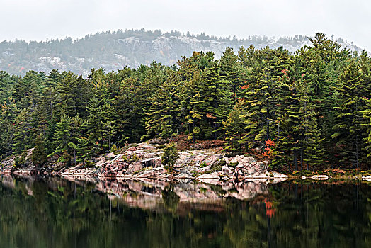 绿色,针叶林,平静,湖,岸边,红岩,地质构造,安大略省,加拿大