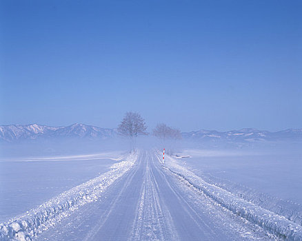 雪,道路
