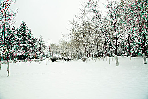 雪景