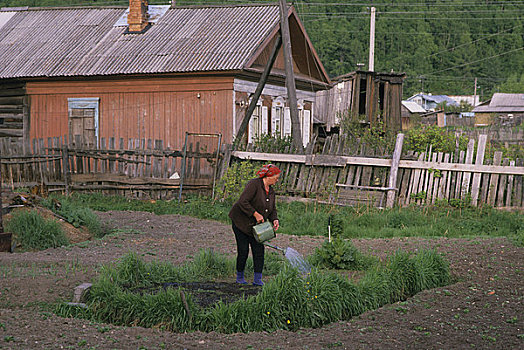 俄罗斯,西伯利亚,贝加尔湖,女人,浇水,菜园
