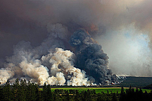 森林火灾,区域,不列颠哥伦比亚省,加拿大