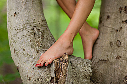 裸露,腿,脚,美女,站立,树上