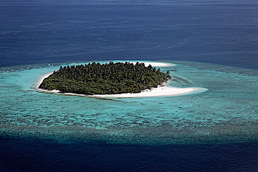 航拍,无人,岛屿,北方,阿里环礁,印度洋,马尔代夫,亚洲