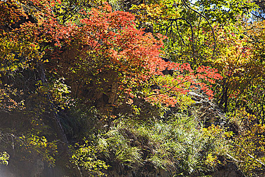 本溪,大石湖,景区,旅游,山坡,峡谷,山谷,植被,自然,风光,秋季,红叶,色彩,艳丽,湖水,瀑布