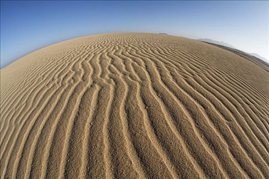 沙子,沙丘,科拉莱霍,富埃特文图拉岛,加纳利群岛