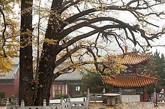 文殊寺