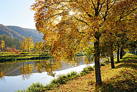 运河,靠近,秋天,下巴伐利亚,巴伐利亚,德国,欧洲