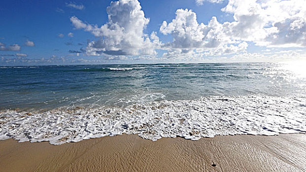 海滩,向风,瓦胡岛,夏威夷