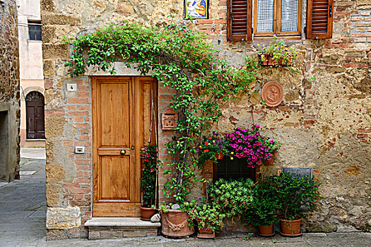 常春藤,花,遮盖,入口,古雅,家,鹅卵石,小路,皮恩扎,意大利