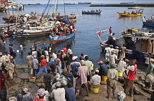 坦桑尼亚,桑给巴尔岛,石头城,场景,独桅三角帆船,港口,人,等待,买,鱼,夜晚,捕鱼者